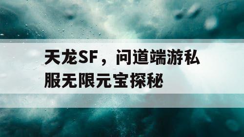天龙SF,问道端游私服无限元宝探秘 天龙SF,问道端游私服无限元宝探秘