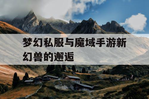 梦幻私服与魔域手游新幻兽的邂逅 梦幻私服与魔域手游新幻兽的邂逅