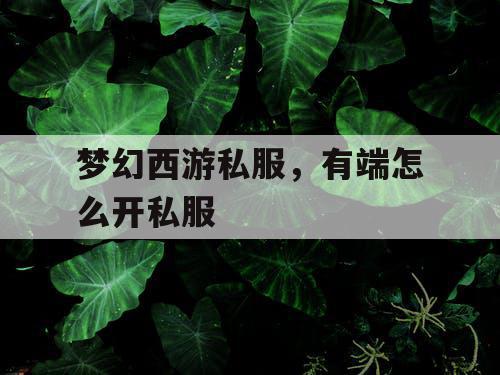 梦幻西游私服,有端怎么开私服 梦幻西游私服,有端怎么开私服