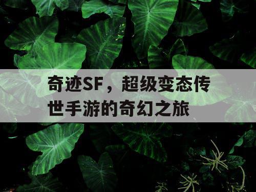 奇迹SF,超级变态传世手游的奇幻之旅 奇迹SF,超级变态传世手游的奇幻之旅
