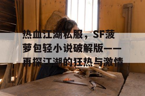 热血江湖私服,SF菠萝包轻小说破解版——再探江湖的狂热与激情 热血江湖私服,SF菠萝包轻小说破解版——再探江湖的狂热与激情