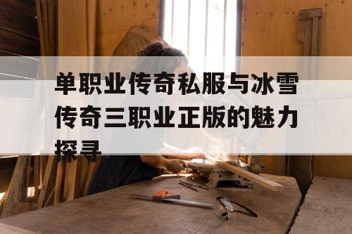 单职业传奇私服与冰雪传奇三职业正版的魅力探寻 单职业传奇私服与冰雪传奇三职业正版的魅力探寻