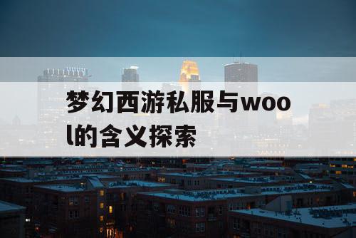 梦幻西游私服与wool的含义探索 梦幻西游私服与wool的含义探索