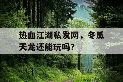 热血江湖私发网,冬瓜天龙还能玩吗? 热血江湖私发网,冬瓜天龙还能玩吗?