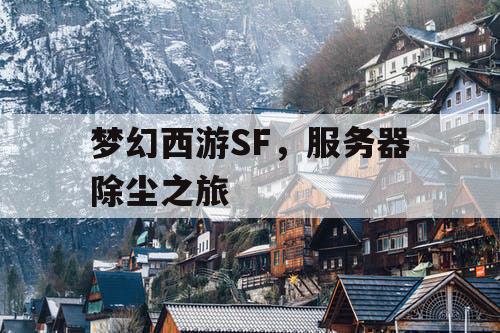 梦幻西游SF,服务器除尘之旅 梦幻西游SF,服务器除尘之旅