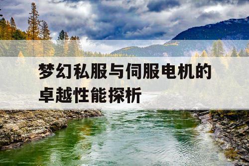 梦幻私服与伺服电机的卓越性能探析 梦幻私服与伺服电机的卓越性能探析