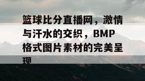篮球比分直播网,激情与汗水的交织,BMP格式图片素材的完美呈现 篮球比分直播网,激情与汗水的交织,BMP格式图片素材的完美呈现