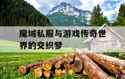 魔域私服与游戏传奇世界的交织梦