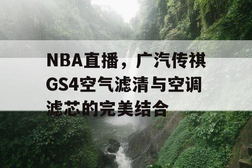 NBA直播,广汽传祺GS4空气滤清与空调滤芯的完美结合 NBA直播,广汽传祺GS4空气滤清与空调滤芯的完美结合
