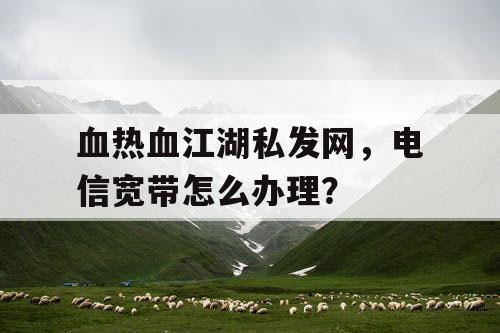 血热血江湖私发网，电信宽带怎么办理？