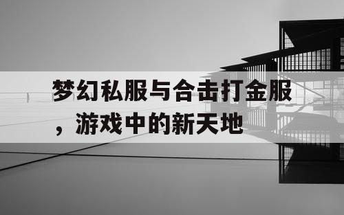 梦幻私服与合击打金服，游戏中的新天地